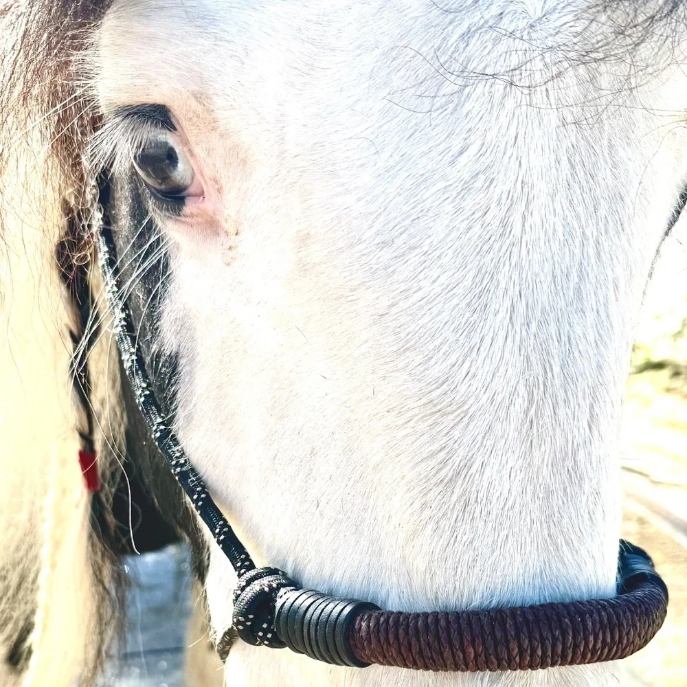 Handmade In Southern California, Bosal style Rope Halter - Picture 3 of 16